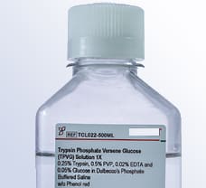 Trypsin Phosphate Versene Glucose (TPVG) Solution 1X 0.25% Trypsin, 0.5% PVP, 0.02