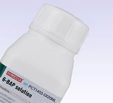 6-BAP solution-PCT1403-20ML
