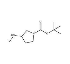 1-Boc-3-Methylaminopyrrolidine, 98%,1gm