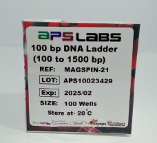 100 bp DNA Ladder (100 to 1500 bp), 100 Wells