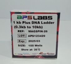 1 kb plus DNA ladder (0.3kb to 10kb), 100 Wells