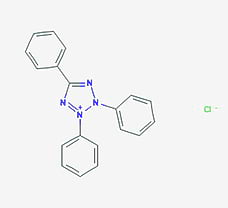 2,3,5 - Triphenyltetrazolium chloride-MB188-25G