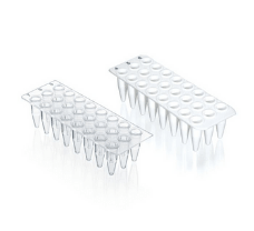 24-well PCR-plates, no skirt, PP, white, 0.2 ml, for qPCR, BIO-CERT PCR QUALITY
