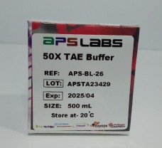 50X TAE Buffer MAGSPIN-114A