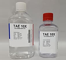 10X TAE-ML010-100ML