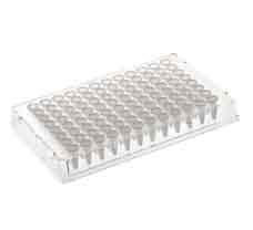 96-well PCR Plate/0.2 ml, skirted, RNase & DNase Free Cleare