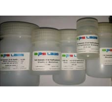 Plasmid Midiprep Plus Purification Kit ( Endotoxin free)