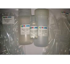 Plus DNA Clean/Extraction Kit