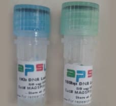 Midi Plant Genomic DNA Purification Kit