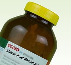 African Violet Maintenance Medium w/ Vitamins, Sucrose & IAA, w/o Agar-PT111-5L