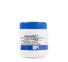 AlbumiNZ Bovine Albumin Essentially Protease Free, 97%, 1 x 25 g