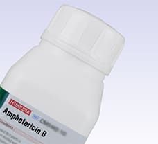 Amphotericin B-PCT1108-10G