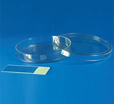 Autoclavable Petri Plates, 100 X 15 mm-PW060-1x10NO
