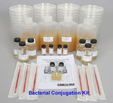 Bacterial Conjugation Teaching Kit -5 Exp
