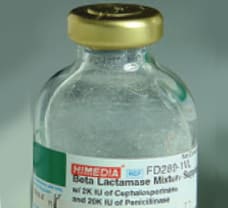 Beta Lactamase Mixture Supplement-FD289-1VL