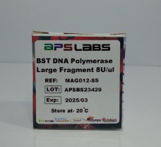 BST DNA Polymerase Large Fragment 8U/uL, 1600 U