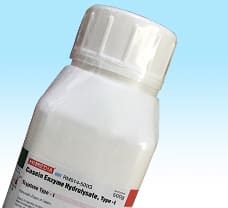 Casein Enzyme Hydrolysate