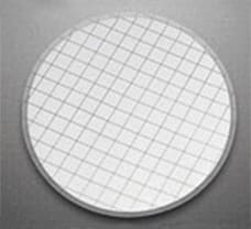 Cellulose Nitrate Membrane with hydrophobic edge, Sterile, 47 mm, 0.45 um-SF96B-100X1NO