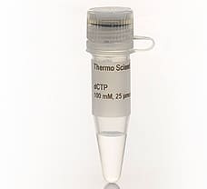 dCTP  100 mM Solution, 0.25 mL