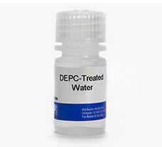 DEPC Treated Water