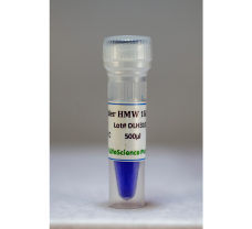 DNA ladder HMW 1 Kb, (564bp-12Kb) SMALL - 50 ug (500 ul)