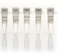 DNase I, RNase-free (supplied with MnCl2)