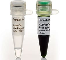 DreamTaq Green DNA Polymerase, 5 x 500 U