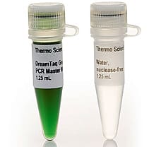 DreamTaq Green PCR Master Mix (2X), 1000 x 50 L rxns