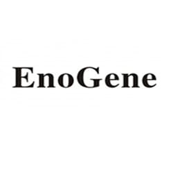 EnoGene