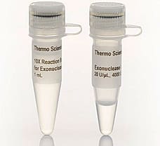 Exonuclease I (Exo I), 20000 units