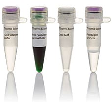 FastDigest BsmFI (FaqI) restriction enzyme