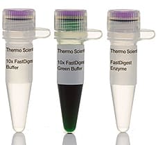 FastDigest Bsp120I restriction enzyme