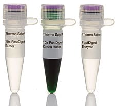 FastDigest BssHII (PteI) restriction enzyme