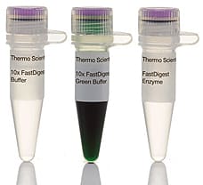 FastDigest DraIII (AdeI) restriction enzyme