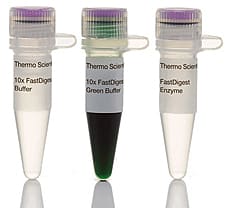 FastDigest FspAI restriction enzyme