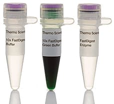 FastDigest HhaI restriction enzyme