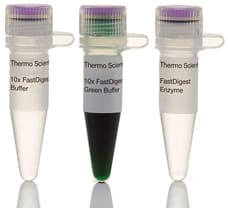 FastDigest HincII restriction enzyme