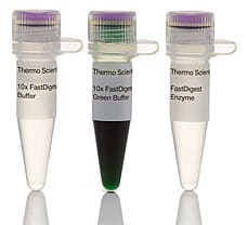 FastDigest HinP1I (Hin6I) restriction enzyme