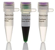 FastDigest HpaI (KspAI) restriction enzyme