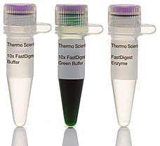 FastDigest Hpy8I restriction enzyme