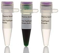 FastDigest HpyF10VI restriction enzyme