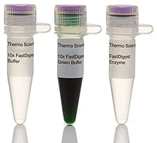 FastDigest MboI restriction enzyme