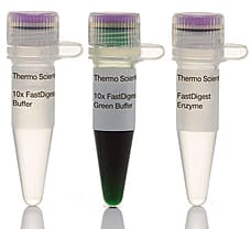 FastDigest MfeI (MunI) restriction enzyme