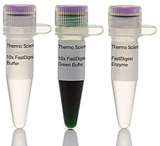 FastDigest MluI restriction enzyme