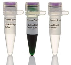 FastDigest NcoI restriction enzyme