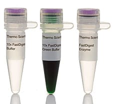 FastDigest NdeI restriction enzyme