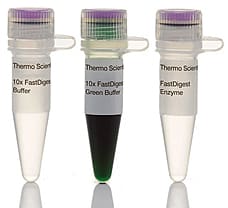 FastDigest NdeI restriction enzyme