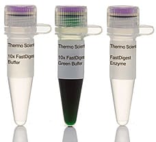 FastDigest NheI restriction enzyme