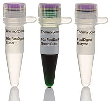 FastDigest NotI restriction enzyme