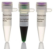 FastDigest PshAI (BoxI) restriction enzyme